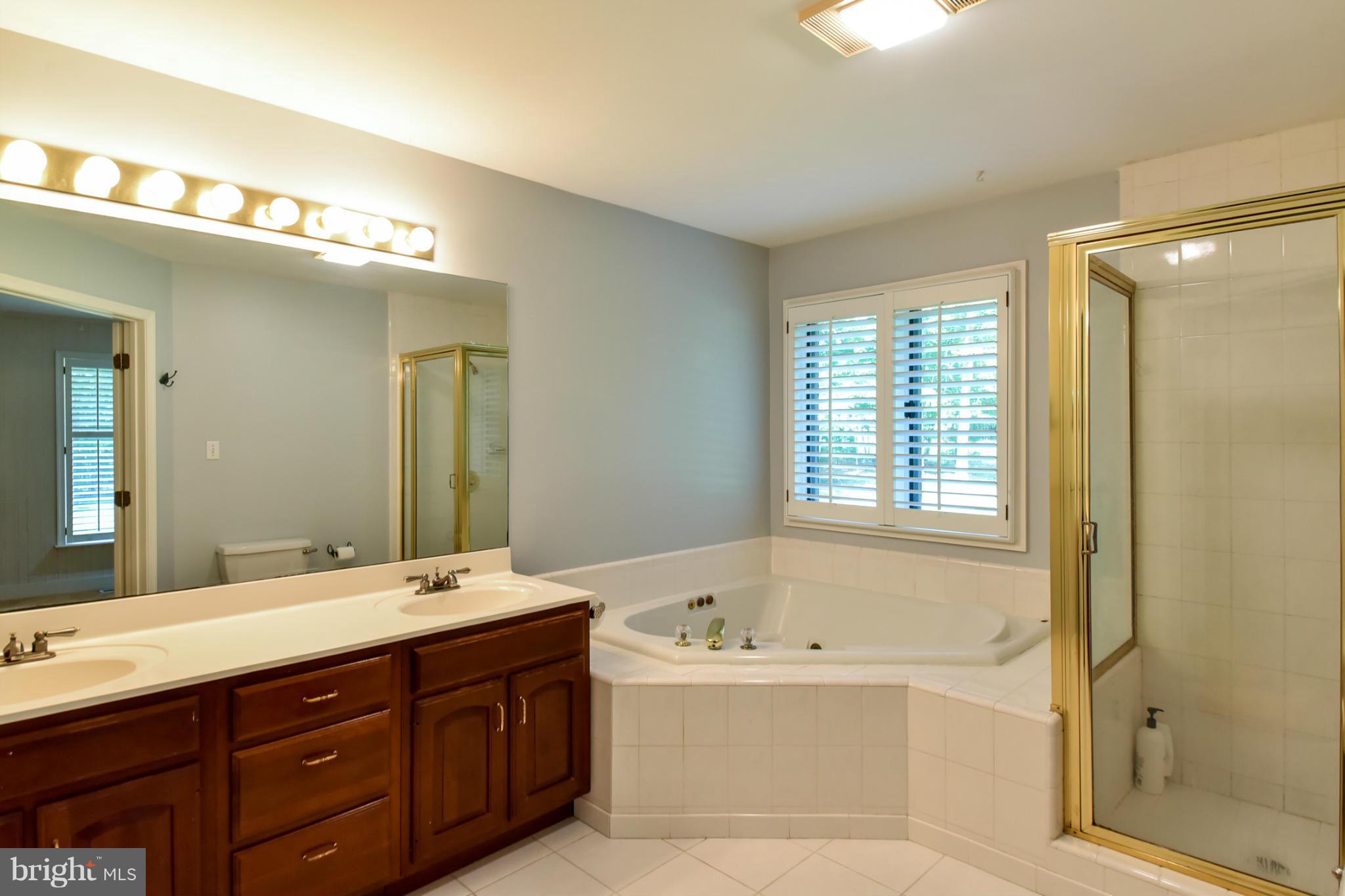 9885 Lomax Road Faulkner, MD 20632 - Photo 17 of 30 Bath (Master)
