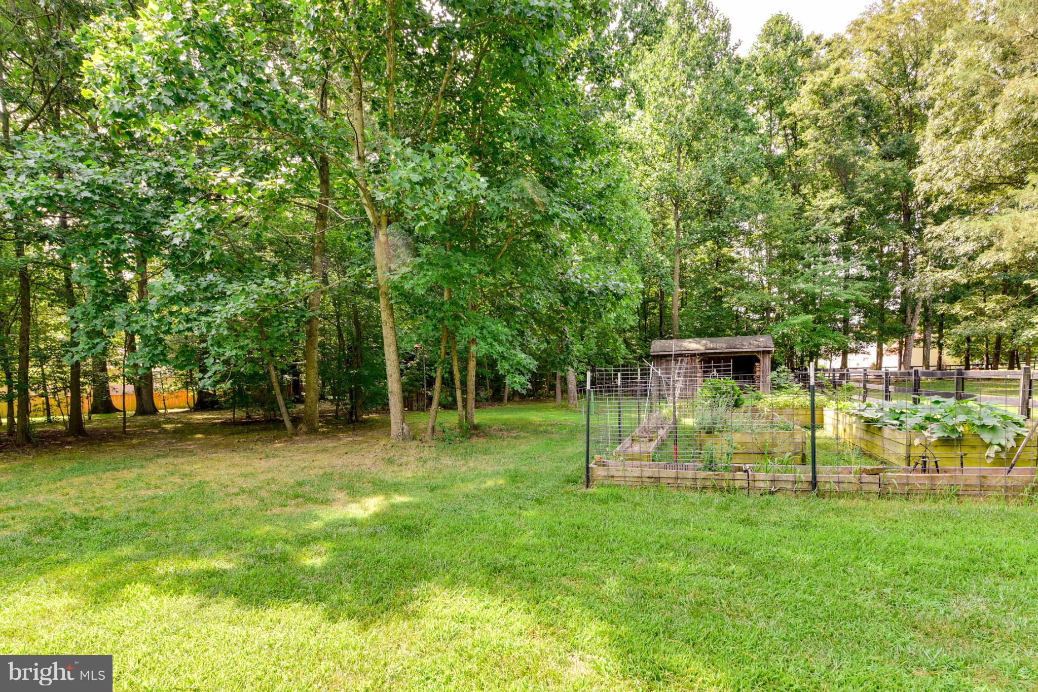 9885 Lomax Road Faulkner, MD 20632 - Photo 26 of 30 Exterior (General) yard
