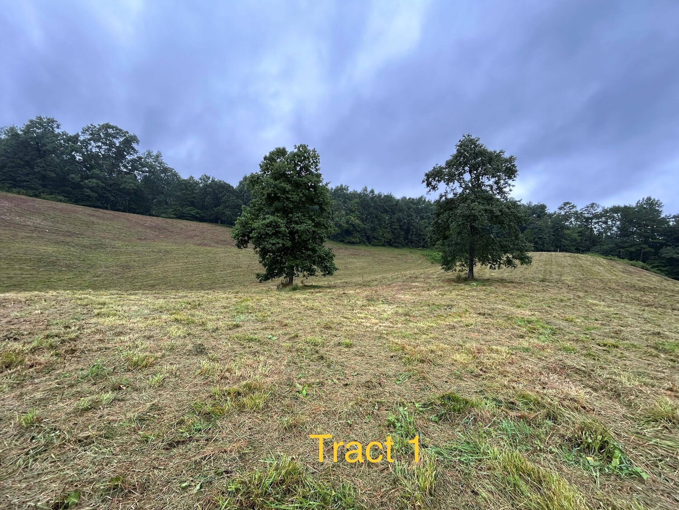 1 Langdon Branch Road Annville, KY 40402 - Photo 8 of 30 Tract 1-2 ak