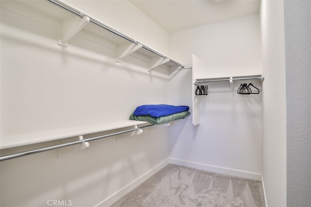 3318 Doheny Way Dana Point, CA 92629 - Photo 47 of 55 a view of walk in closet
