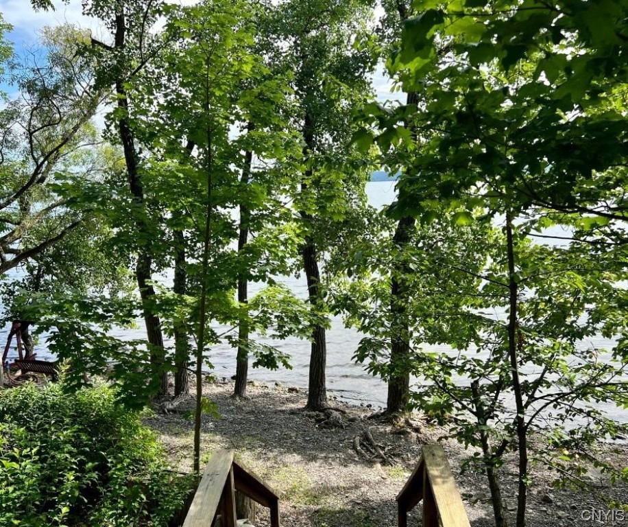 5499 Highway 89 Varick, NY 14541 - Photo 39 of 45