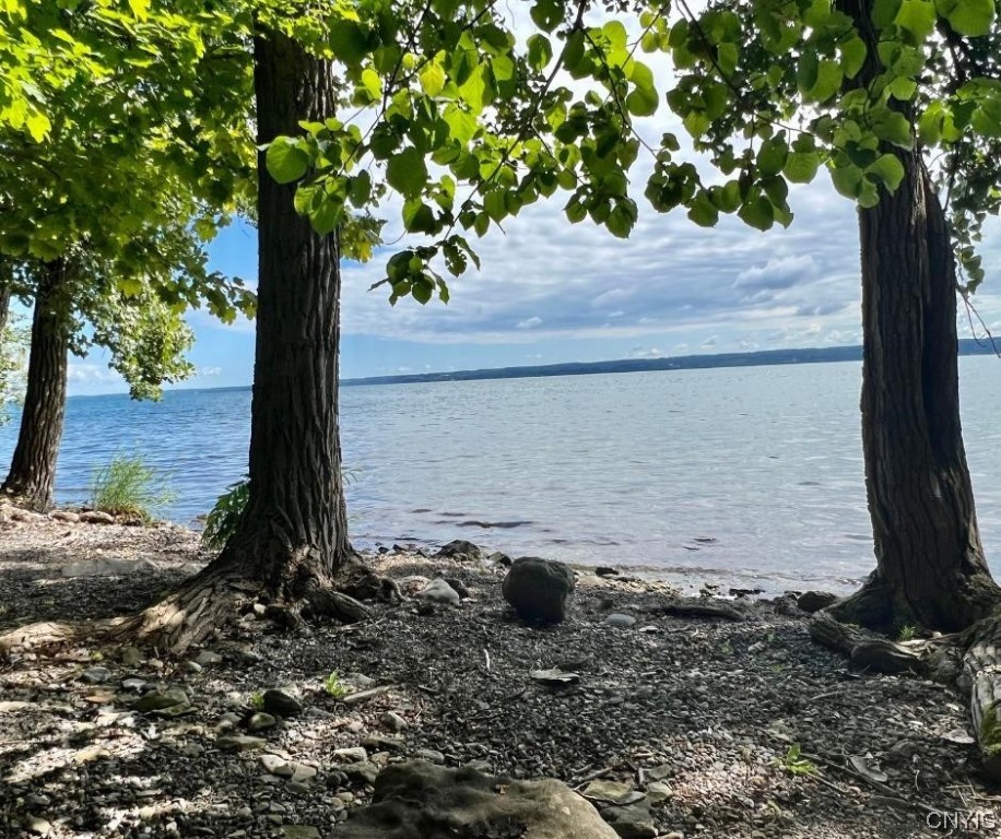 5499 Highway 89 Varick, NY 14541 - Photo 40 of 45