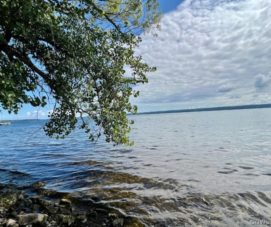 5499 Highway 89 Varick, NY 14541 - Photo 41 of 45