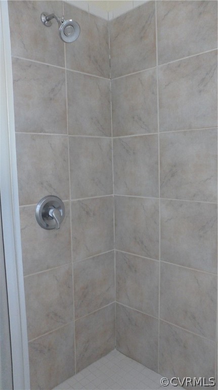 393 New Beginnings Road Shacklefords, VA 23156 - Photo 20 of 36 Master shower