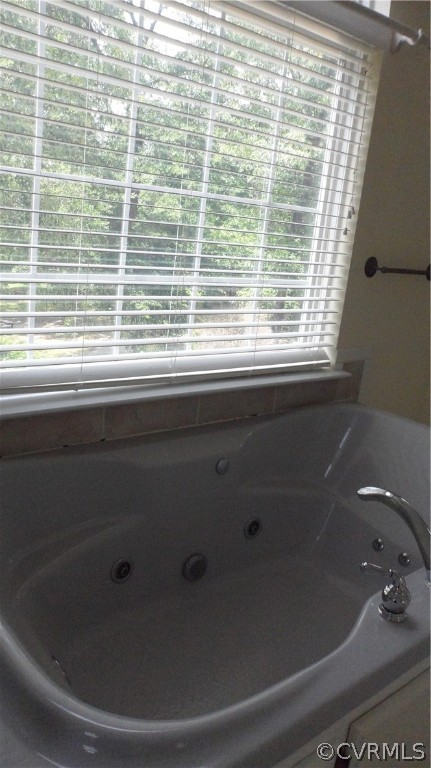 393 New Beginnings Road Shacklefords, VA 23156 - Photo 22 of 36 Master Jetted Tub Overlooks Garden