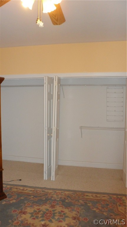 393 New Beginnings Road Shacklefords, VA 23156 - Photo 28 of 36 Basement Master Suite Closets
