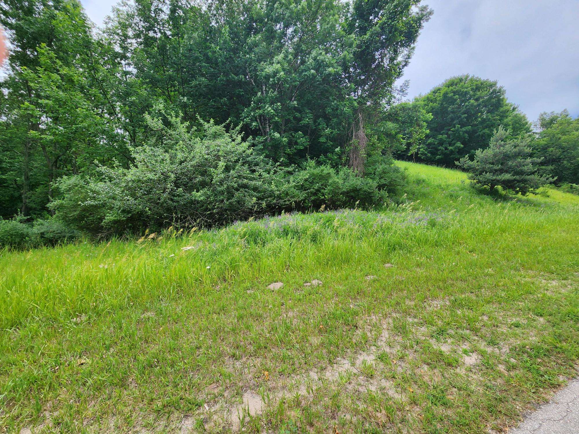 0 Deer Ridge Trail Beulah, MI 49617 - Photo 2 of 39