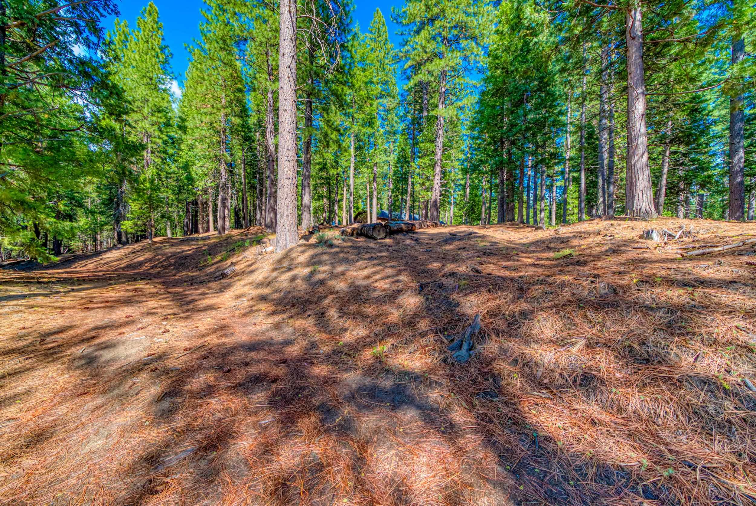 954 Red Fox Road Clio, CA 96106 - Photo 4 of 22