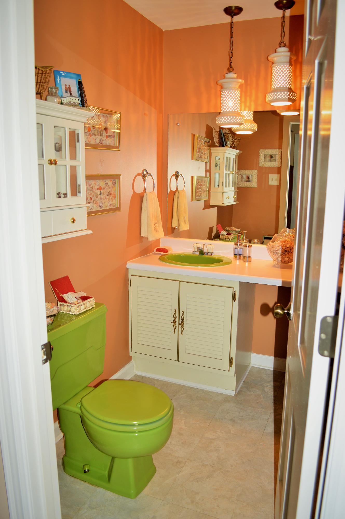 7312 Palmleaf Road Knoxville, TN 37918 - Photo 14 of 40 DSC_0031