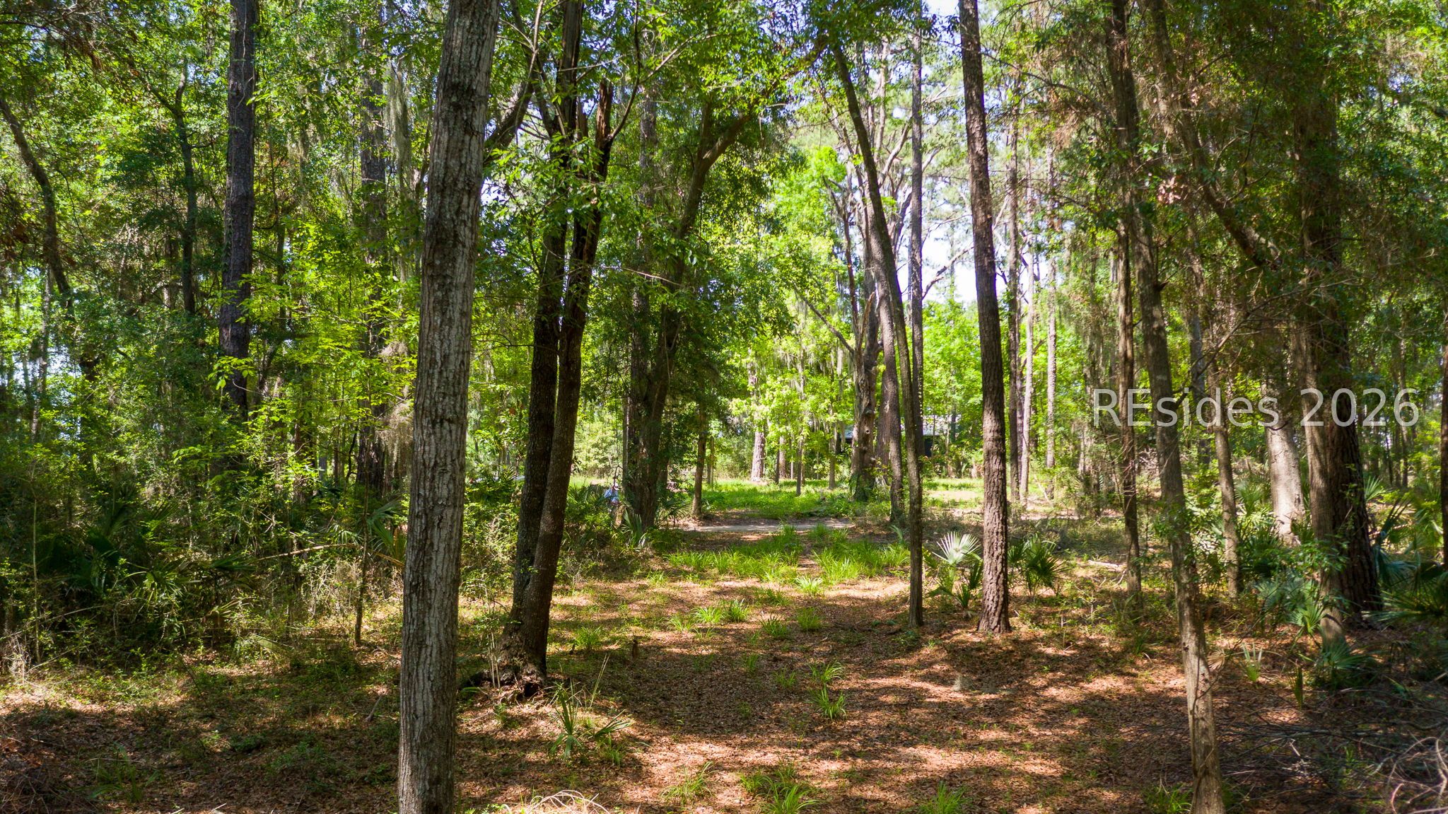 68 Carvin Road Daufuskie Island, SC 29915 - Photo 5 of 11