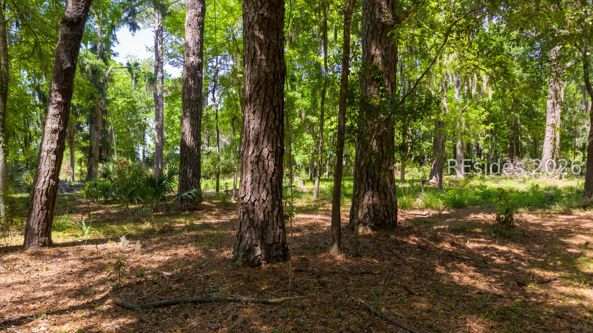 68 Carvin Road Daufuskie Island, SC 29915 - Photo 7 of 11