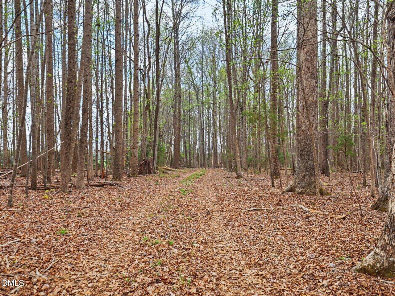 7793 Ridgeville Road Leasburg, NC 27291 - Photo 51 of 91