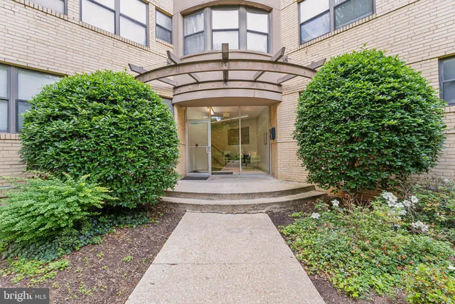 a view of a park with tree s