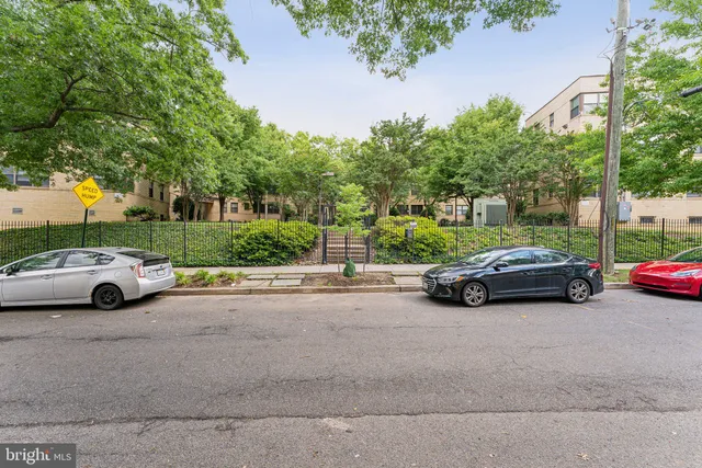 a view of a backyard with plants