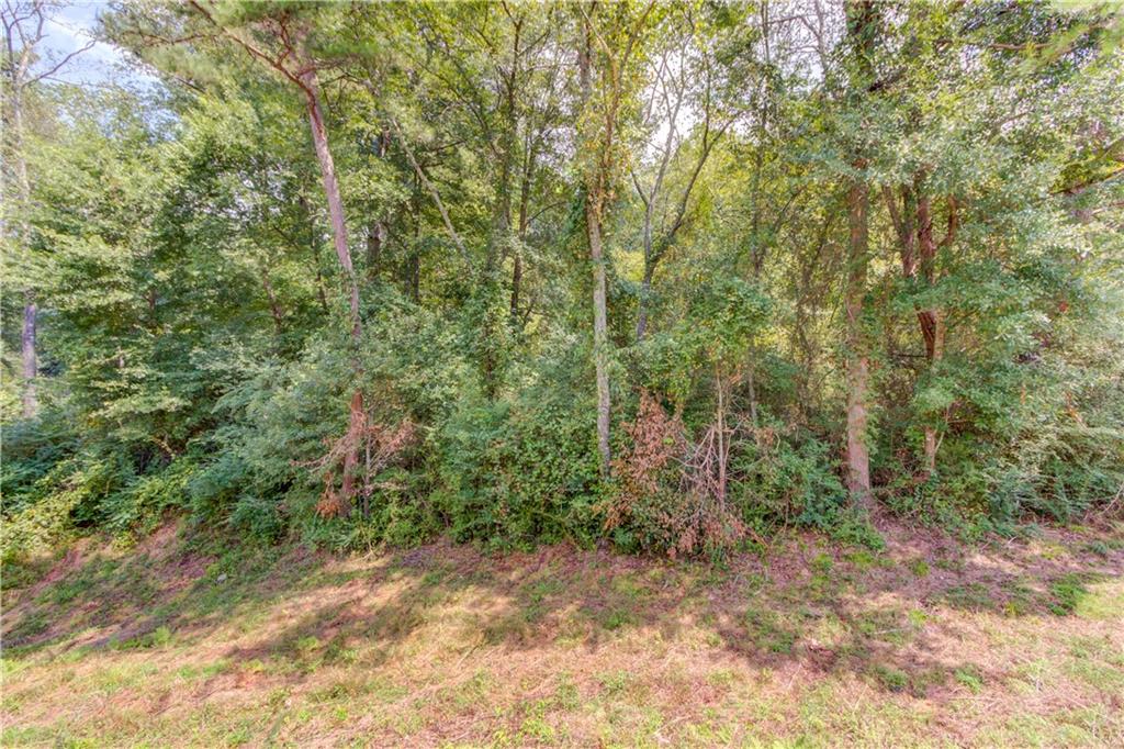 7207 Spout Springs Road Flowery Branch, GA 30542 - Photo 13 of 15