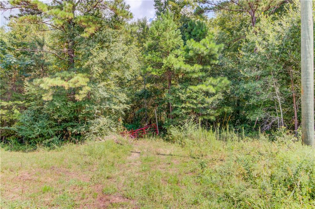 7207 Spout Springs Road Flowery Branch, GA 30542 - Photo 6 of 15