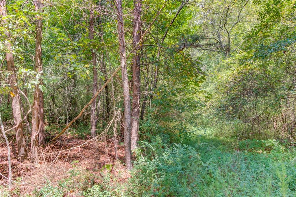 7207 Spout Springs Road Flowery Branch, GA 30542 - Photo 8 of 15