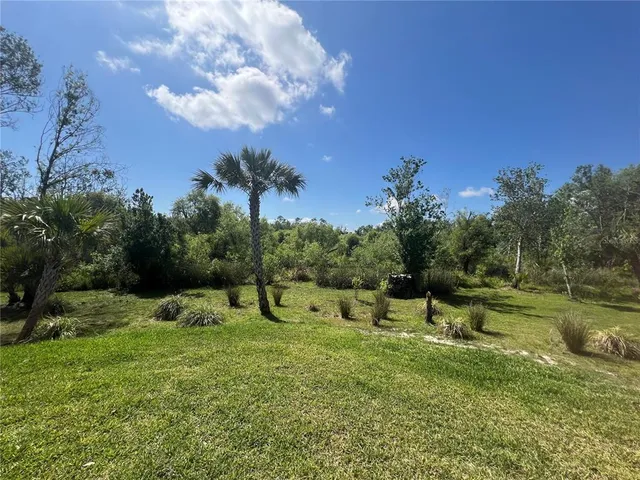 a view of a park with large trees