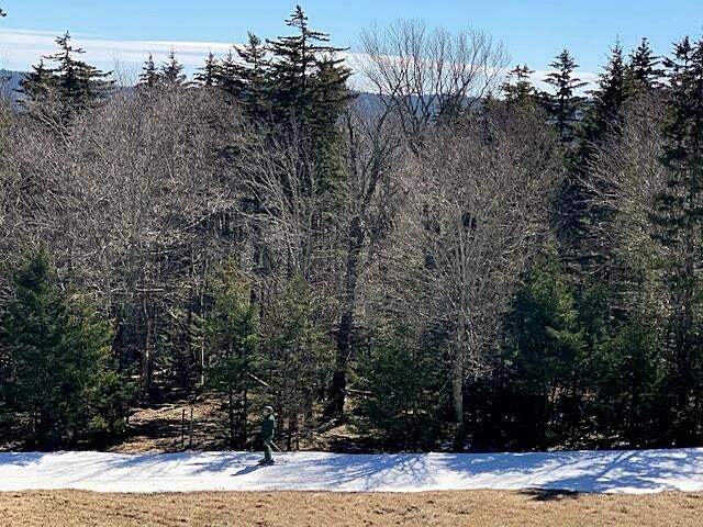 47 Powderidge Road, Unit 55 Snowshoe, WV 26209 - Photo 11 of 25 Gallery Image 11