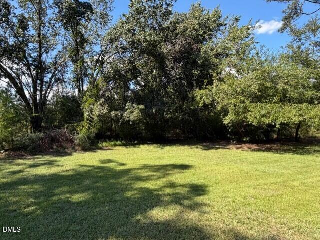 1230 Hickory Crossroads Road Kenly, NC 27542 - Photo 17 of 22 Backyard2