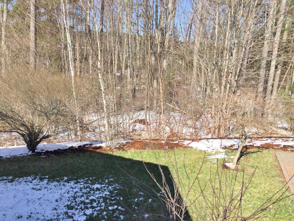52 Sagebrush Drive Rochester, NH 03867 - Photo 14 of 14 Gallery Image 14