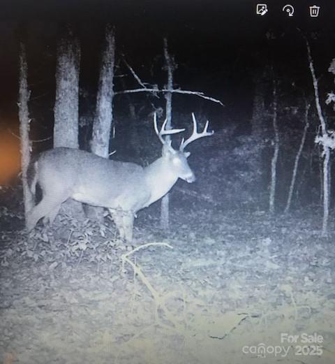 47997 Wagoner Road Richfield, NC 28137 - Photo 43 of 44