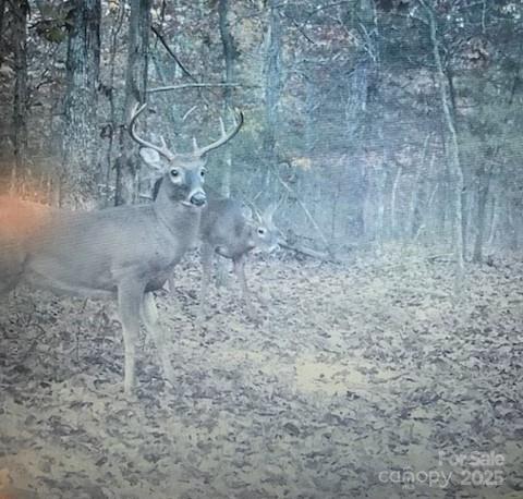 47997 Wagoner Road Richfield, NC 28137 - Photo 44 of 44