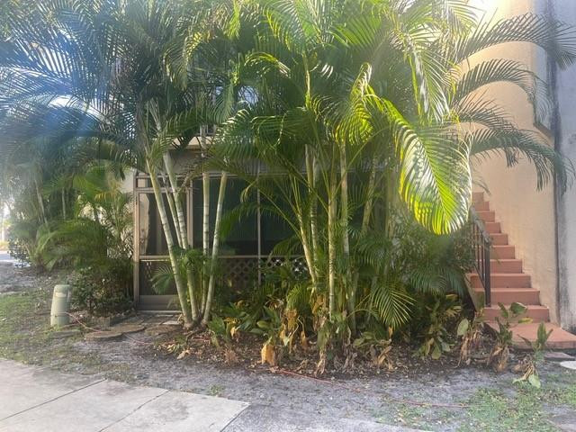 301 North Pine Island Road, Unit 110 Plantation, FL 33324 - Photo 9 of 13 a view of banana tree