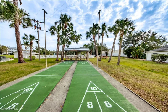 a view of a yard with palm trees