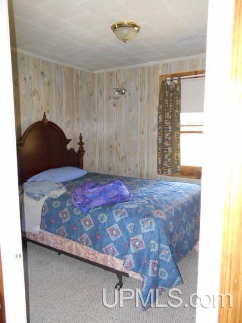 10889 Halsey Lake Road Long Lake, WI 54542 - Photo 8 of 24 Gallery Image 8