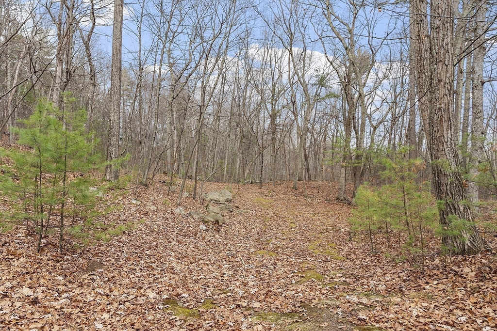 11 Sholan Circle Harvard, MA 01451 - Photo 11 of 40