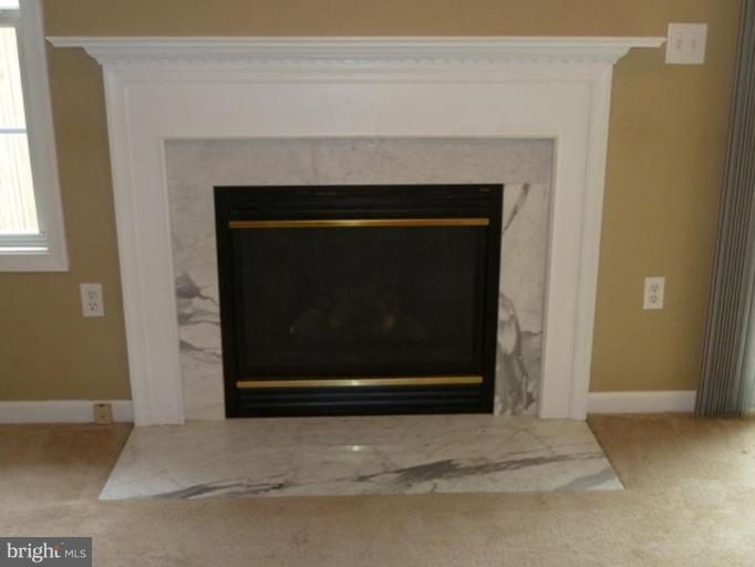 864 Ripplebrook Drive Culpeper, VA 22701 - Photo 19 of 24 Fireplace