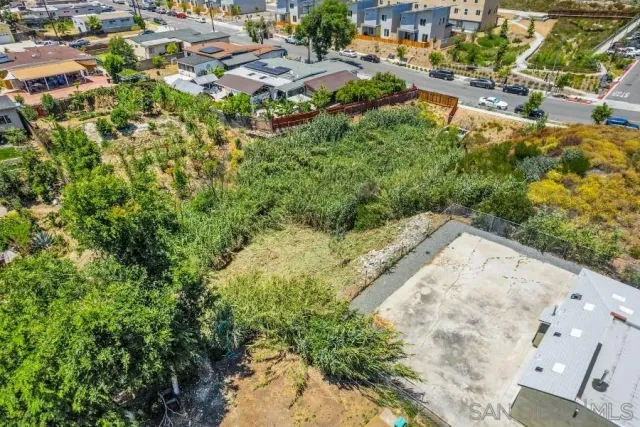 a view of a garden with a pathway