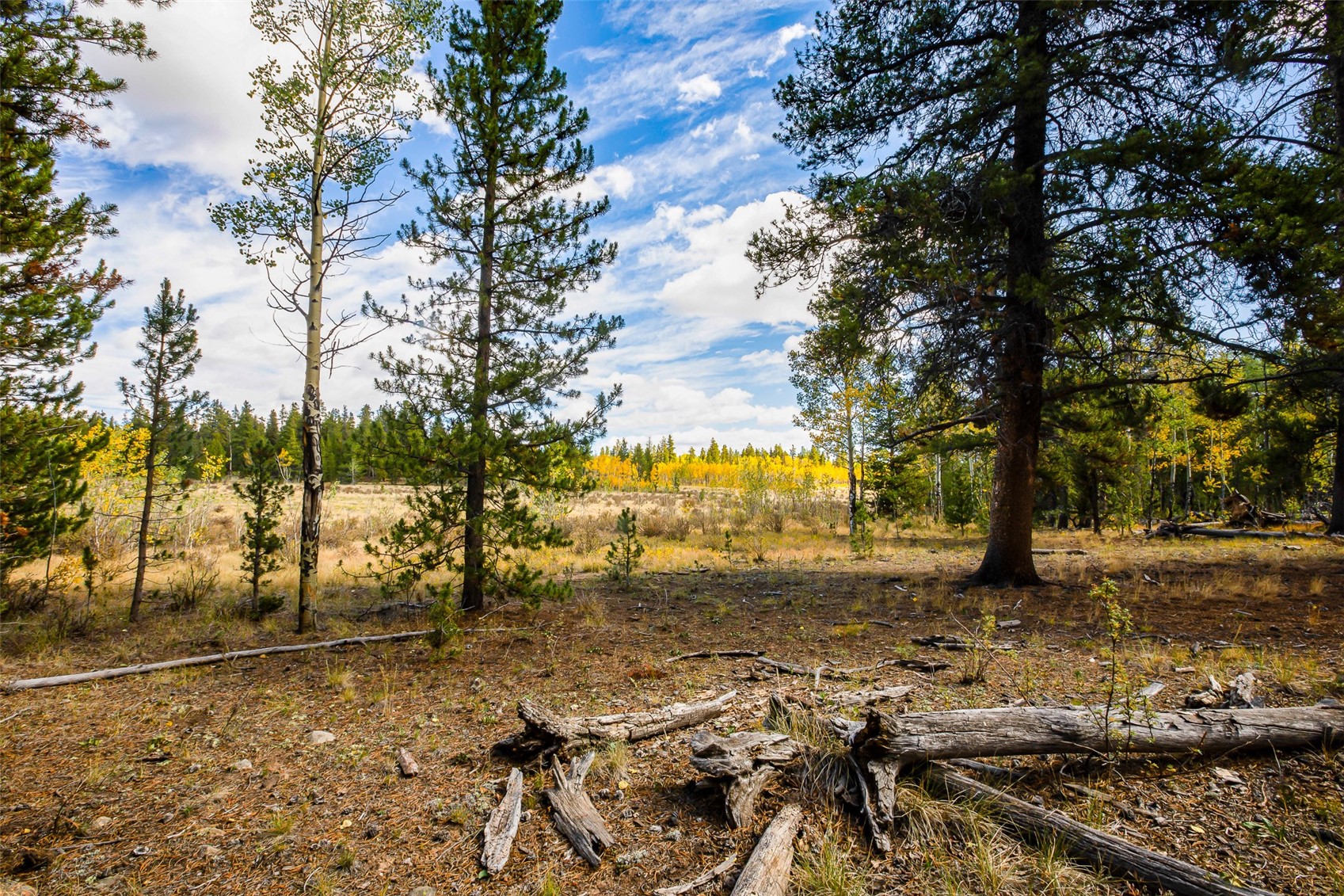 660 Renshaw Road Fairplay, CO 80440 - Photo 14 of 40 Gallery Image 14