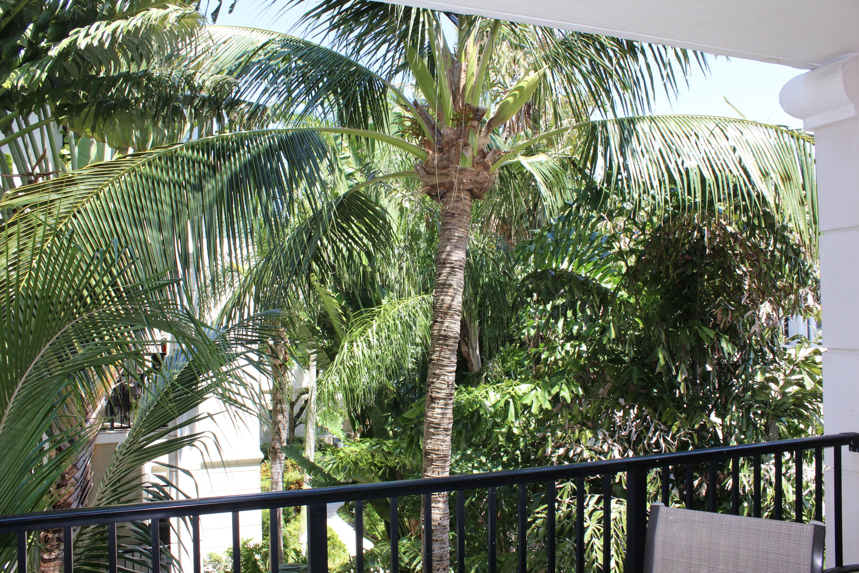 3302 Tuscany Way Boynton Beach, FL 33435 - Photo 14 of 62 a view of a garden from a balcony