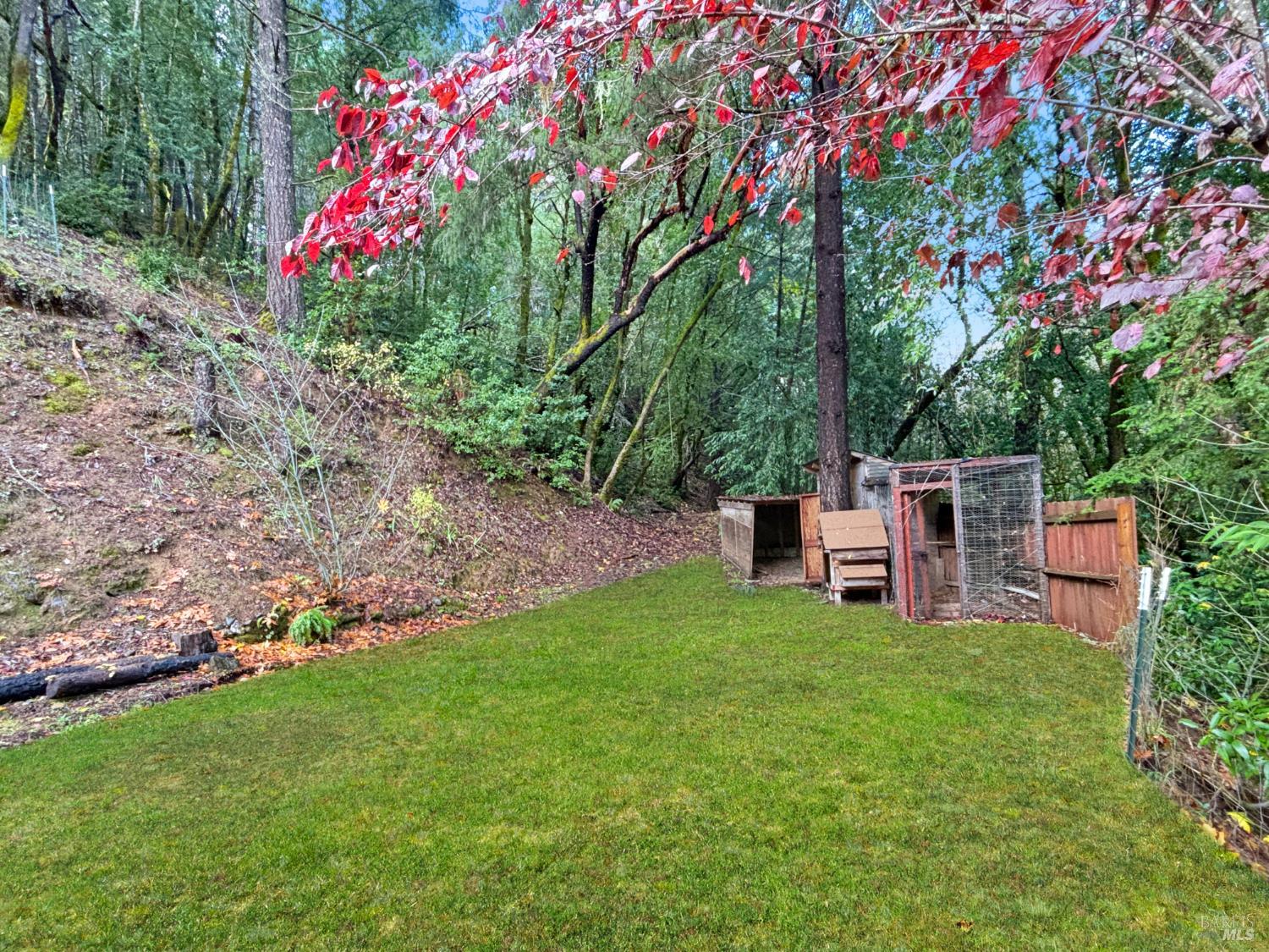 5011 Canyon Road Willits, CA 95490 - Photo 12 of 16