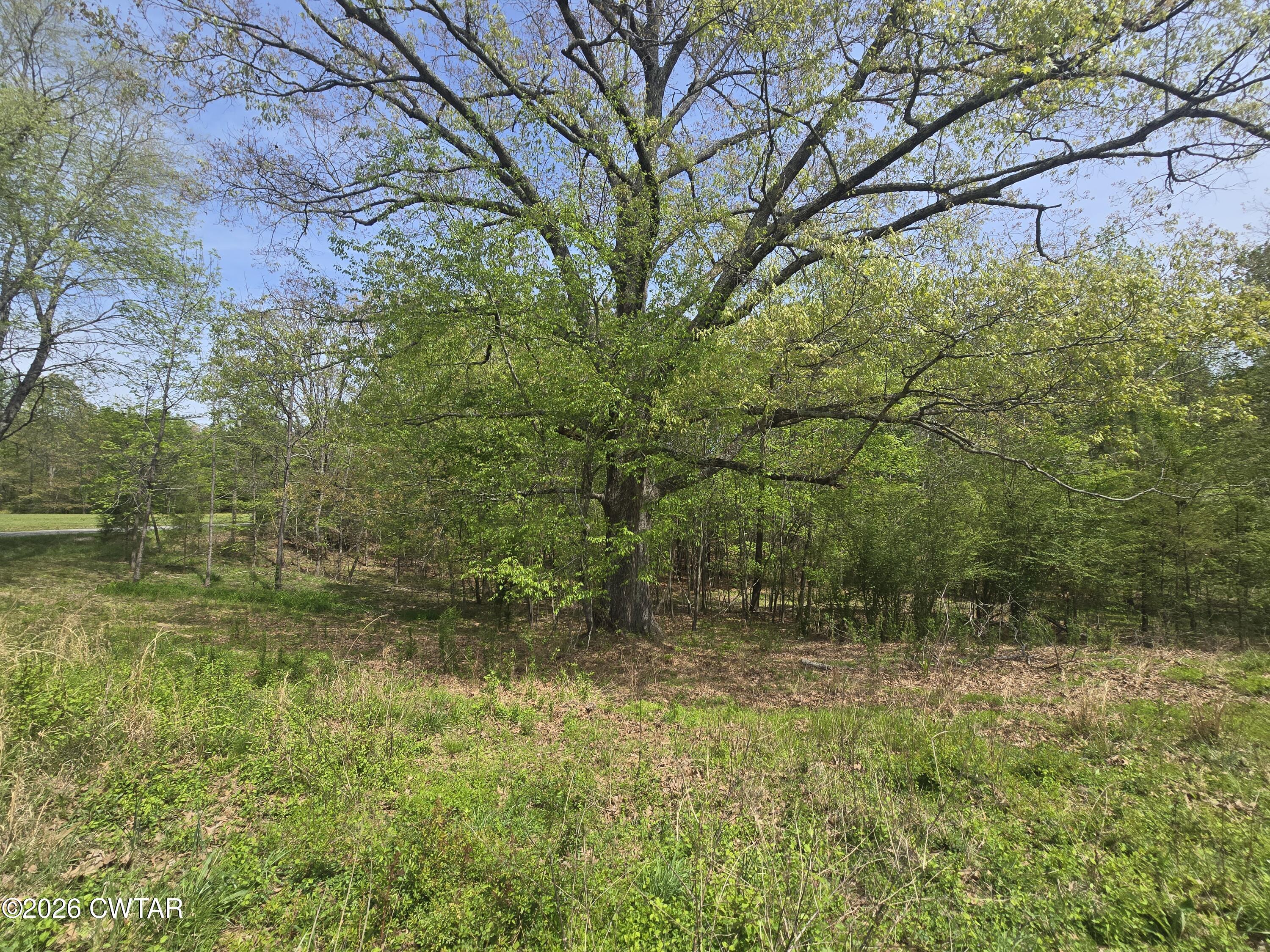 633 Shaw Road McKenzie, TN 38201 - Photo 4 of 7 20260408_130523