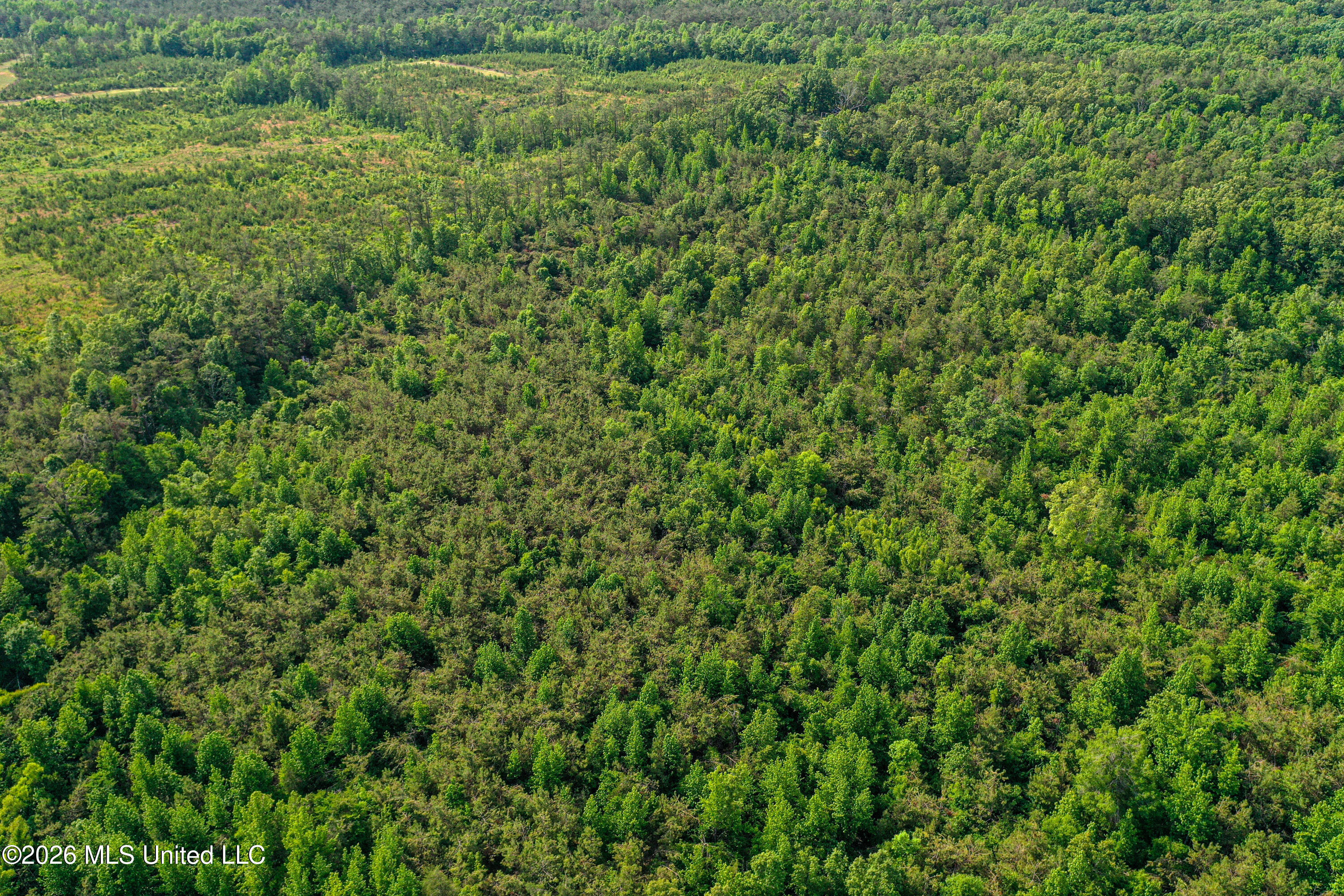 816 County Road Blue Mountain, MS 38610 - Photo 8 of 21 DJI_0745
