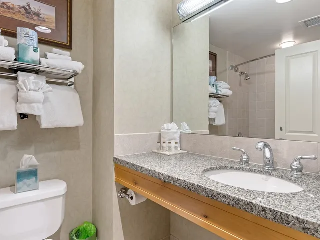 a bathroom with a granite countertop sink and a toilet