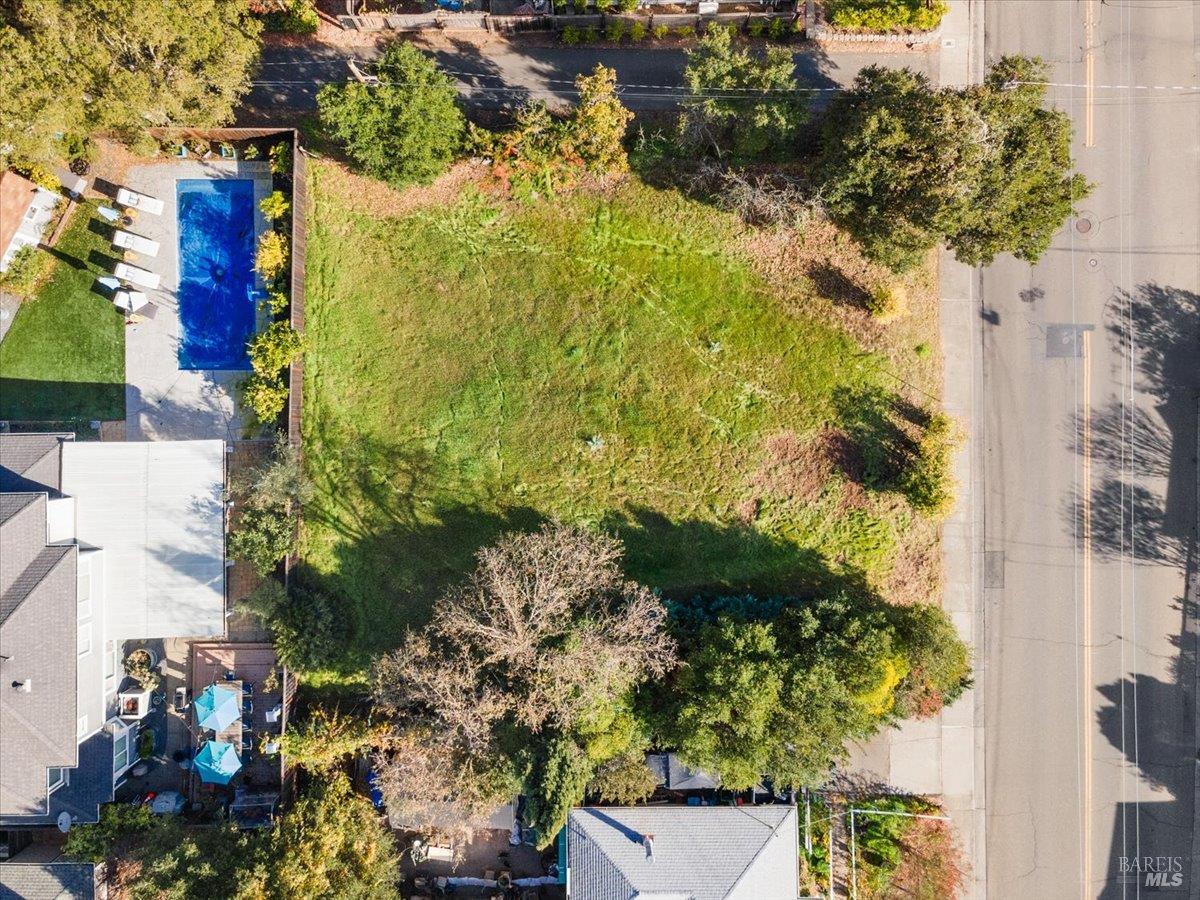 119 Powell Avenue Healdsburg, CA 95448 - Photo 14 of 19 a view of a tree with a yard