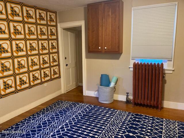 42 Stockbridge Road Great Barrington, MA 01230 - Photo 54 of 59 IMG_0666