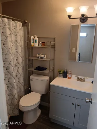 a bathroom with a sink and a toilet