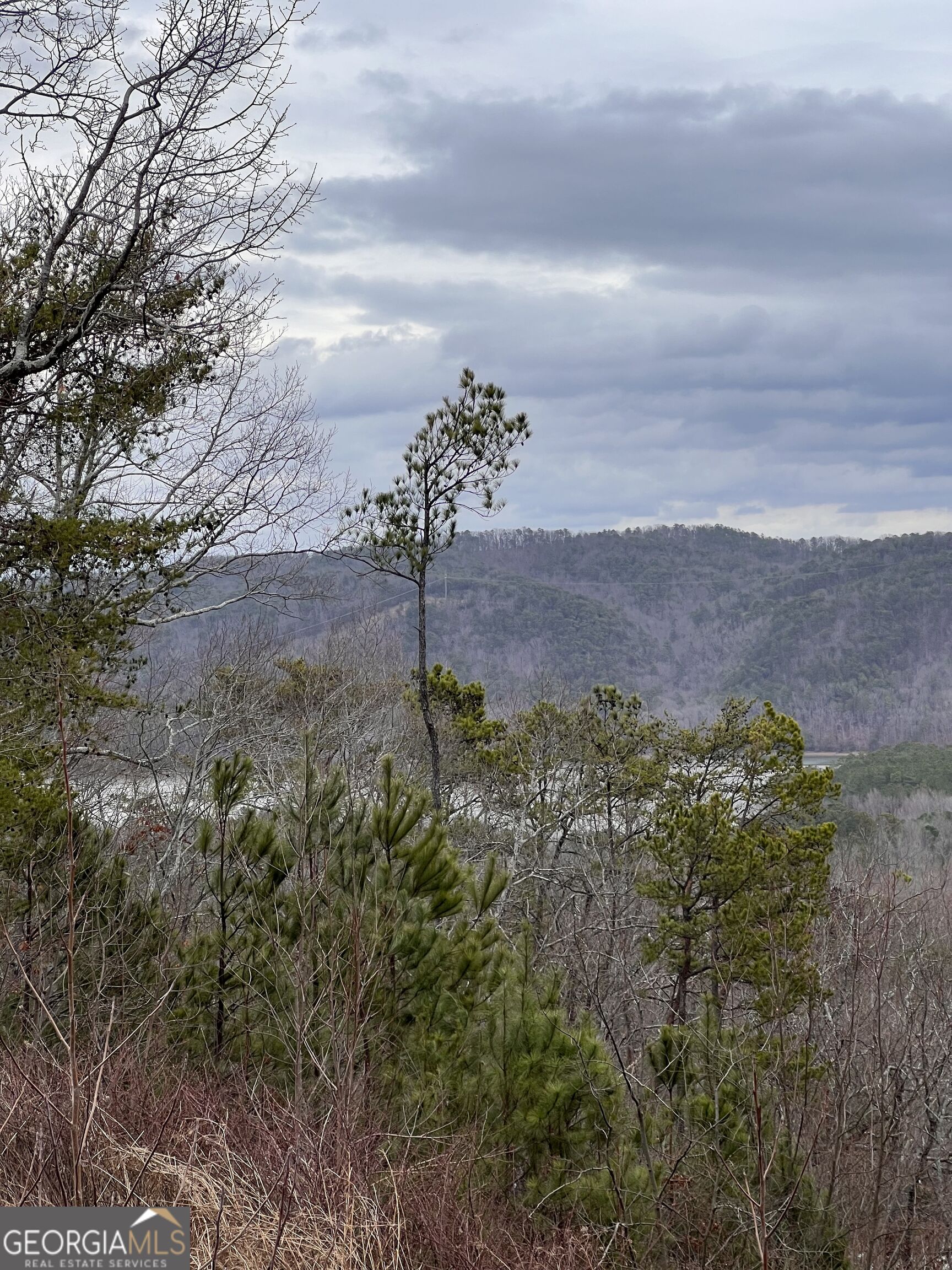 278 Carters Overlook Drive, Unit 28 Ranger, GA 30734 - Photo 14 of 17 Gallery Image 14