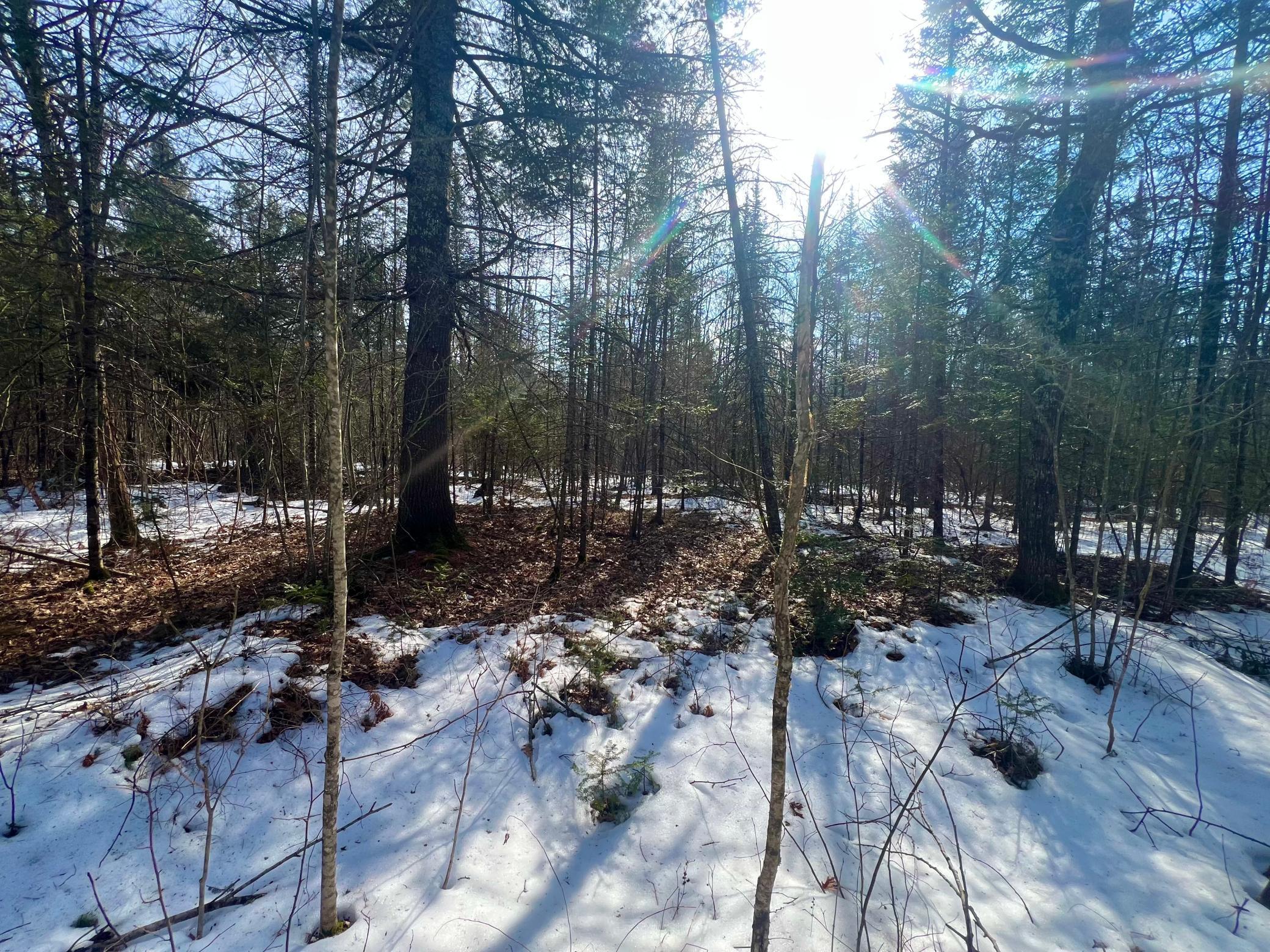 0 Borrie Road Couderay, WI 54828 - Photo 1 of 1
