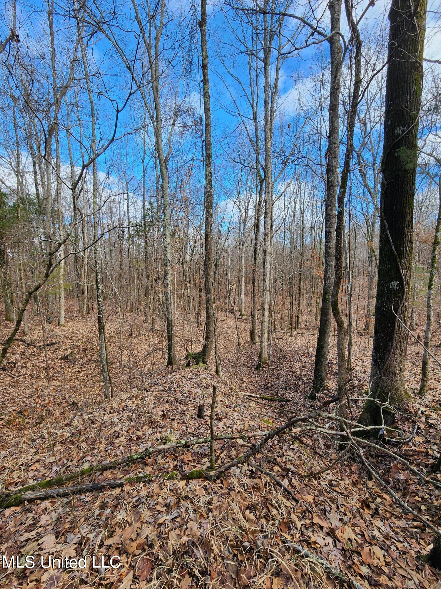 25.8 Truslow Road Sarah, MS 38665 - Photo 11 of 23 20230123_123814