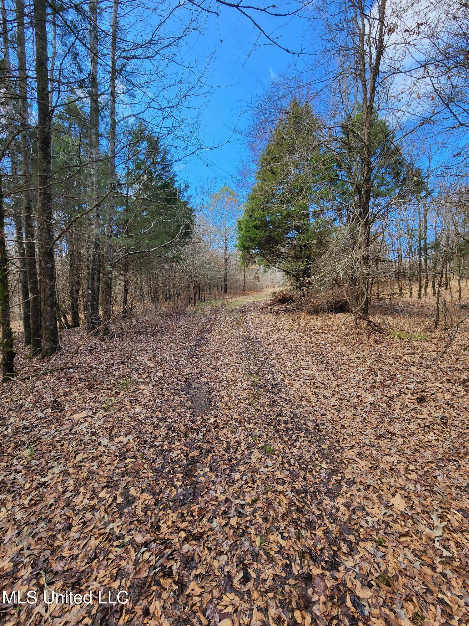 25.8 Truslow Road Sarah, MS 38665 - Photo 12 of 23 20230123_124433