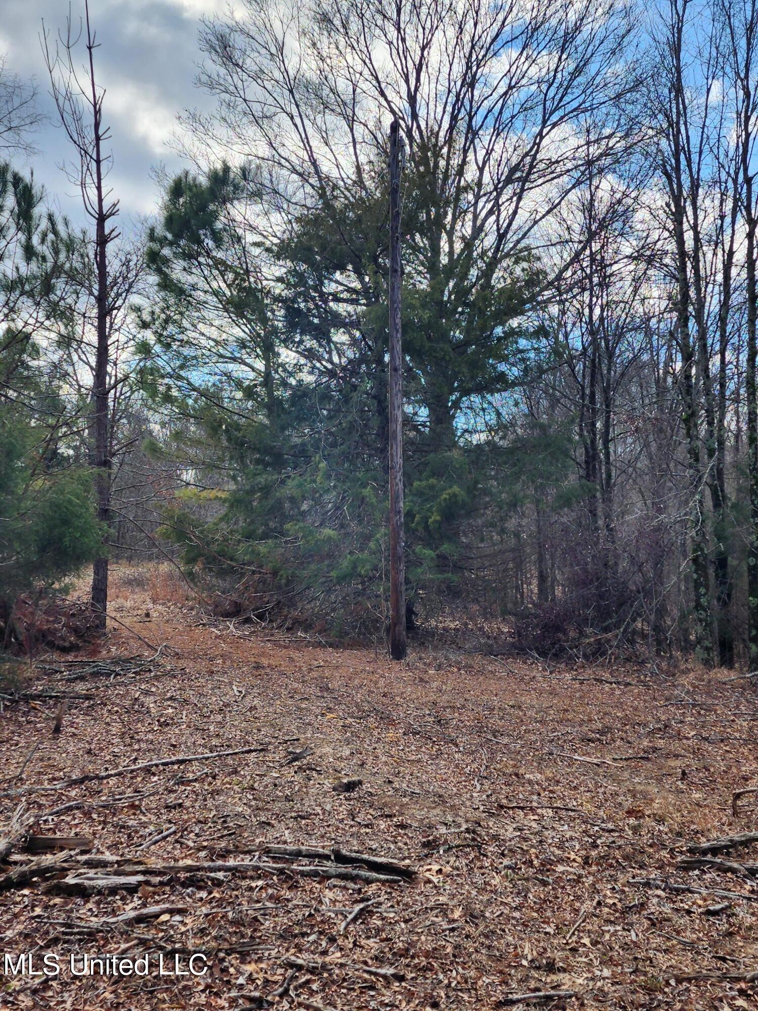 25.8 Truslow Road Sarah, MS 38665 - Photo 18 of 23 20230123_125124