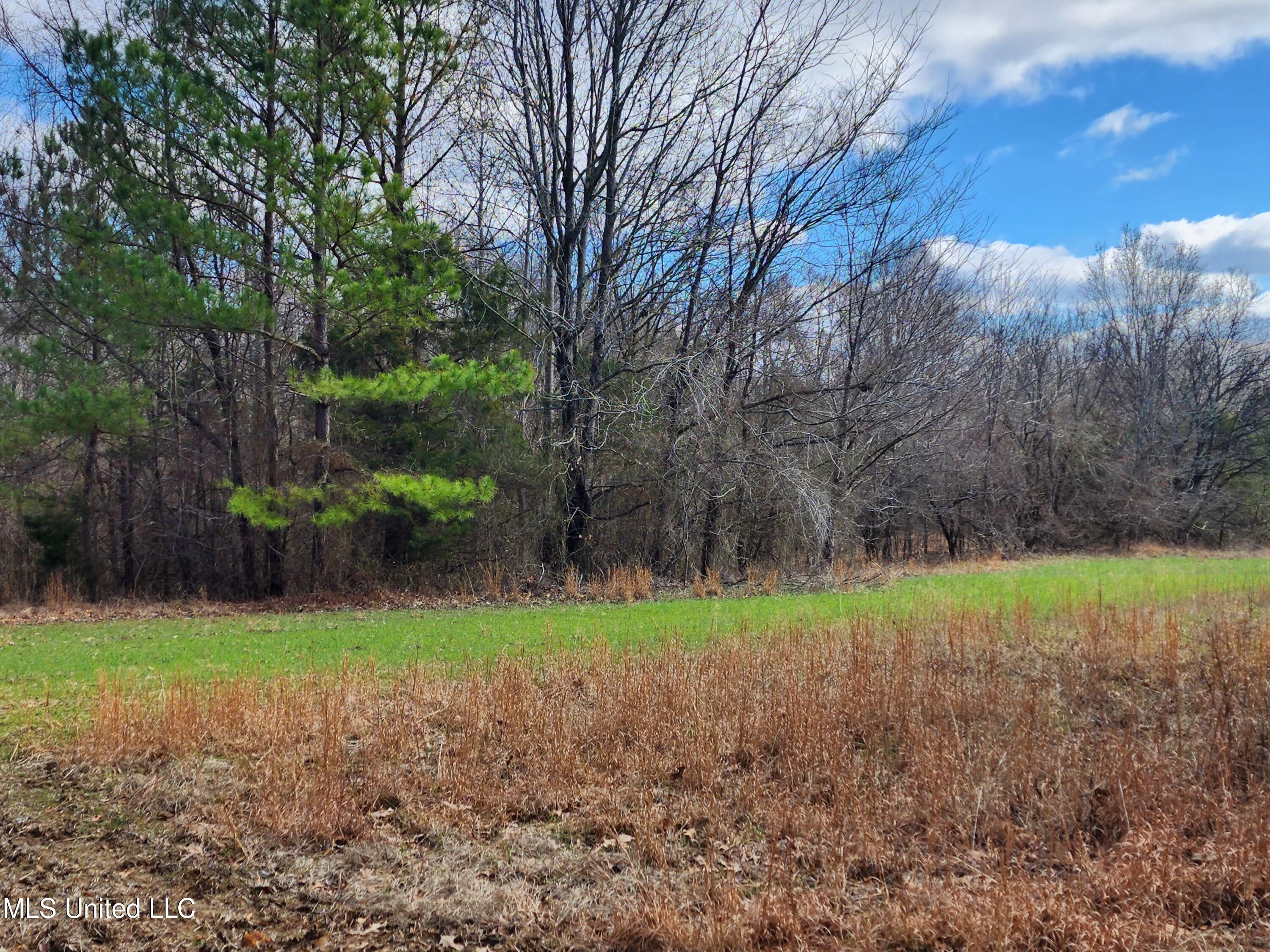 25.8 Truslow Road Sarah, MS 38665 - Photo 20 of 23 20230123_125230