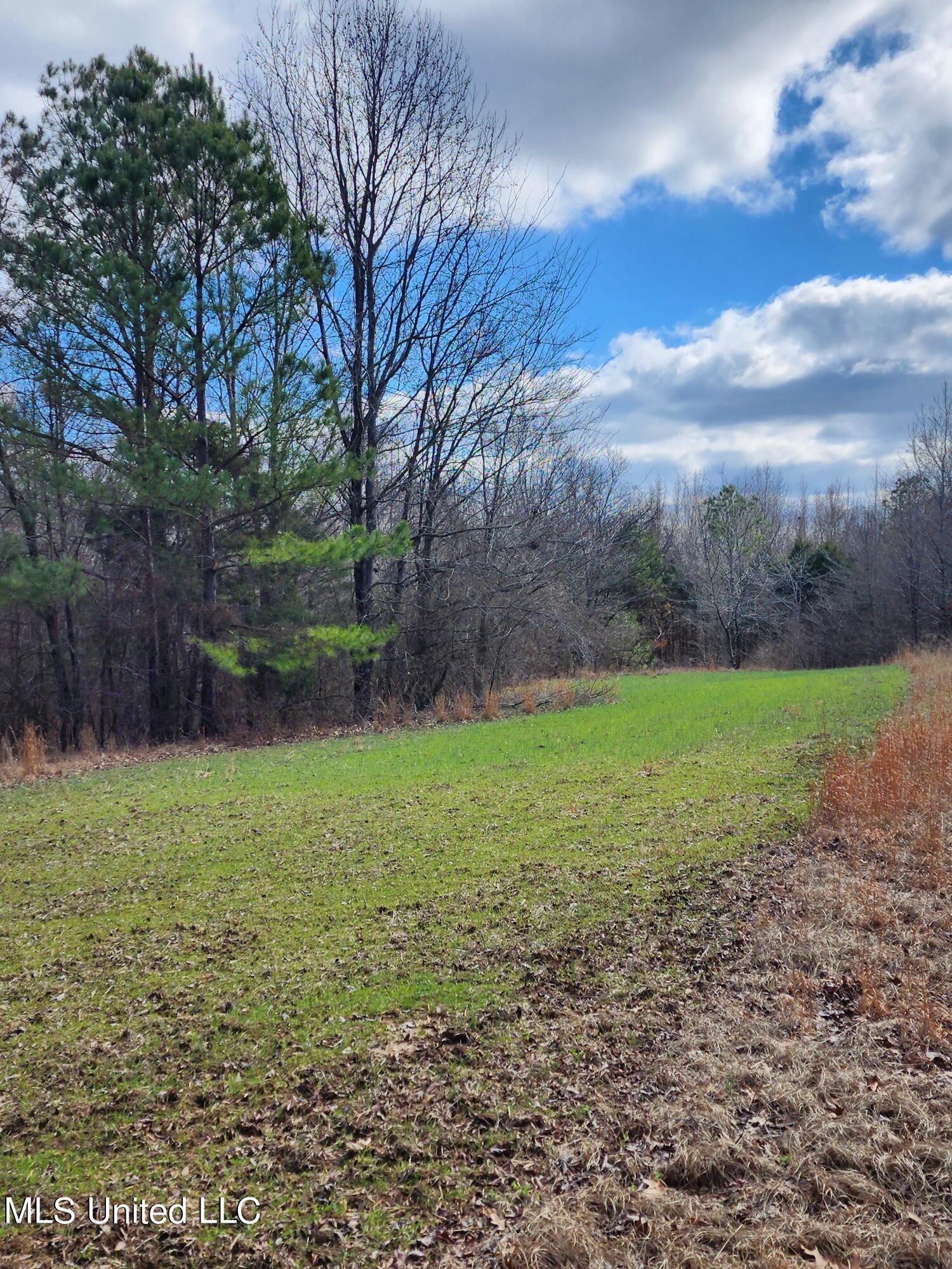 25.8 Truslow Road Sarah, MS 38665 - Photo 2 of 23 20230123_125207