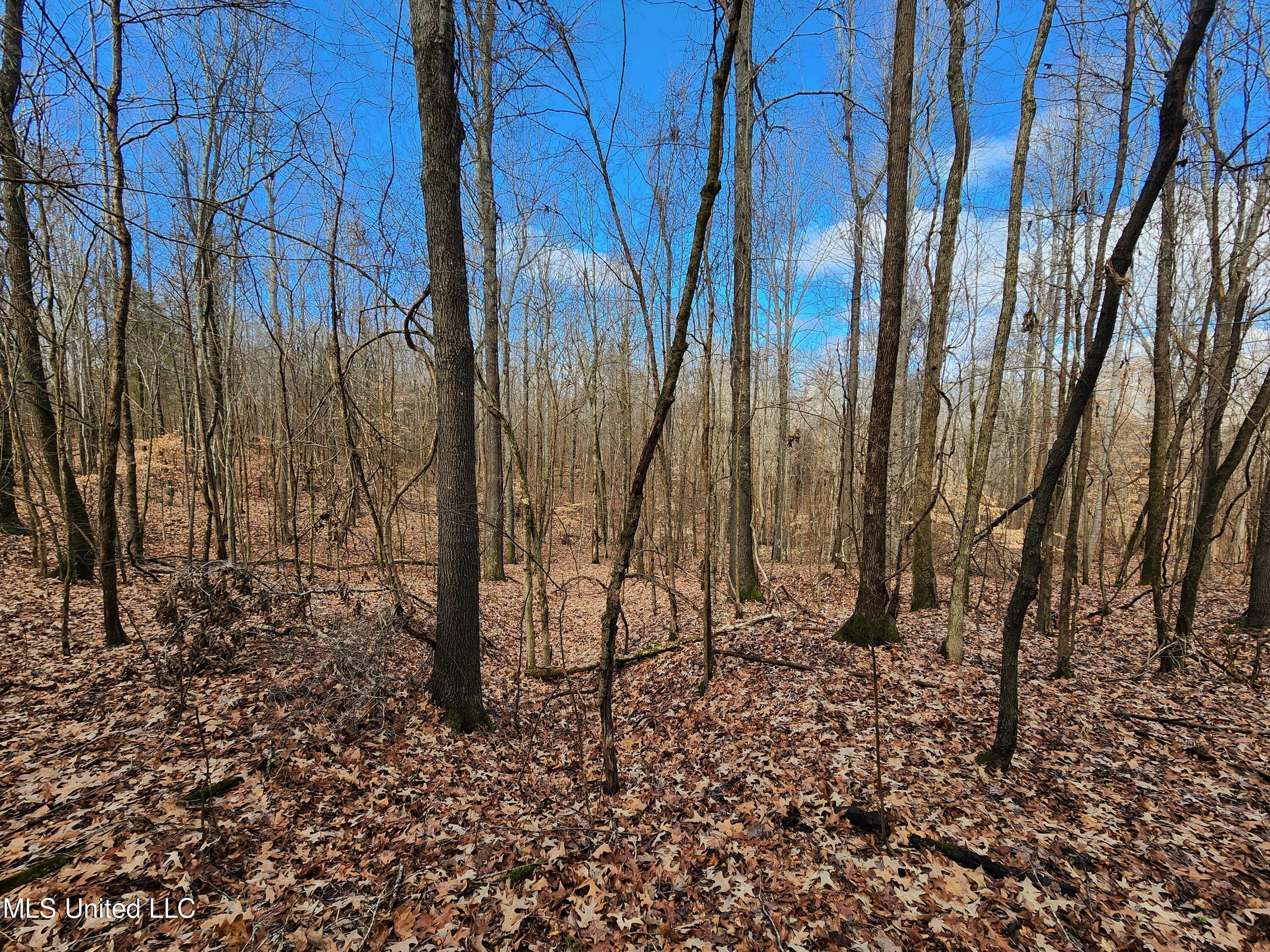 25.8 Truslow Road Sarah, MS 38665 - Photo 3 of 23 20230123_123447